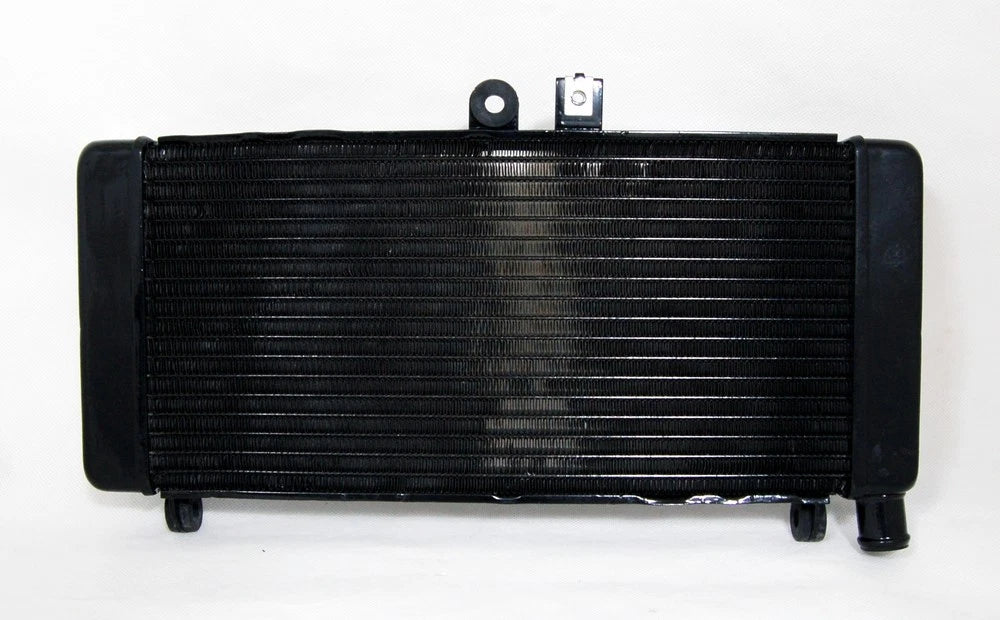 Radiator Grille Guard for Honda CB900 CB919F Hornet900 (2002–2007) Black