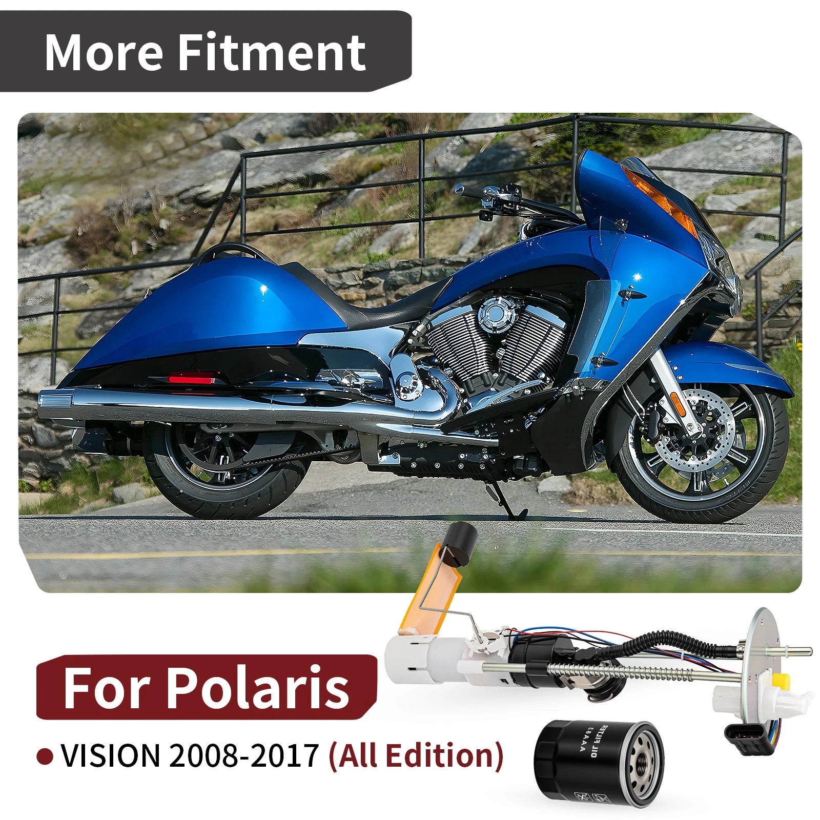 Fuel Pump Module with Oil Filter for Victory Vision (2008–2017) 2521030 2520786