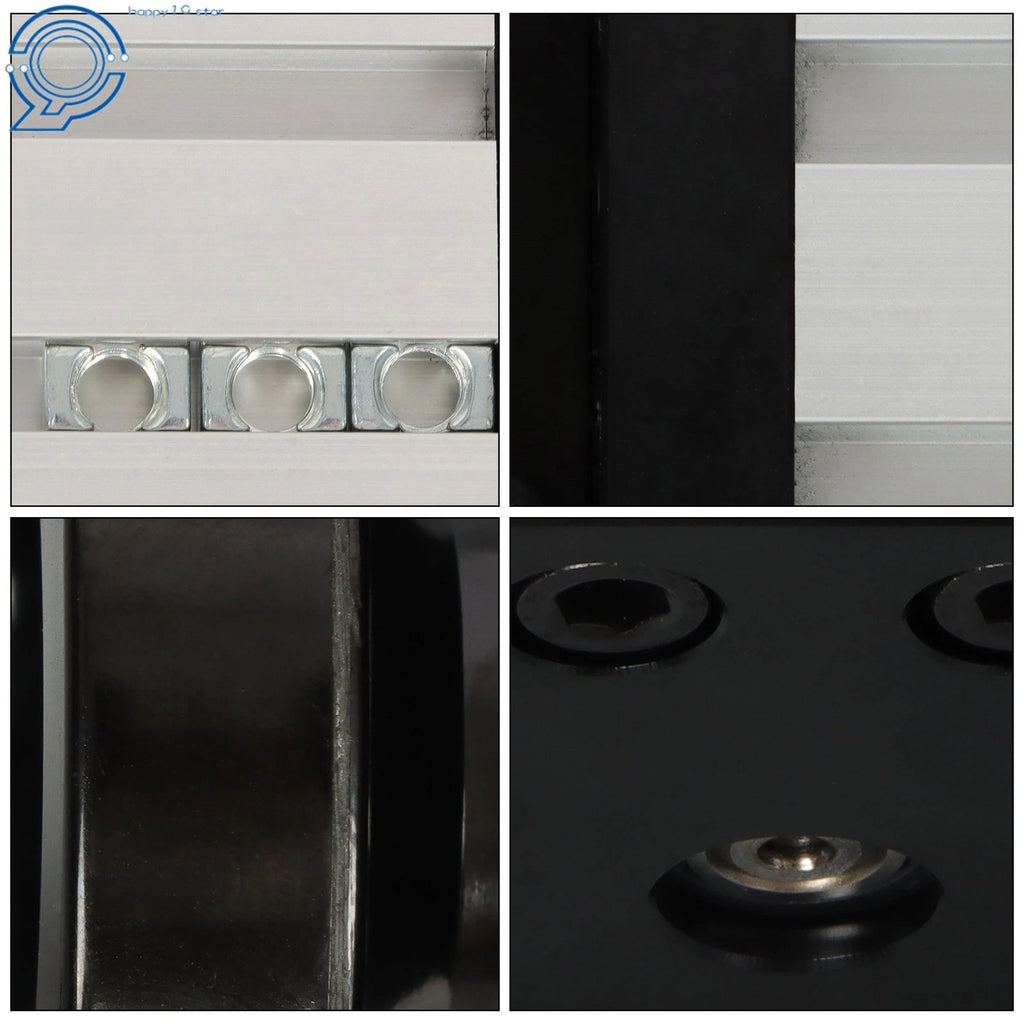 Sliding Table Linear Double-Track Ballscrew for Motion Stage (250MM)