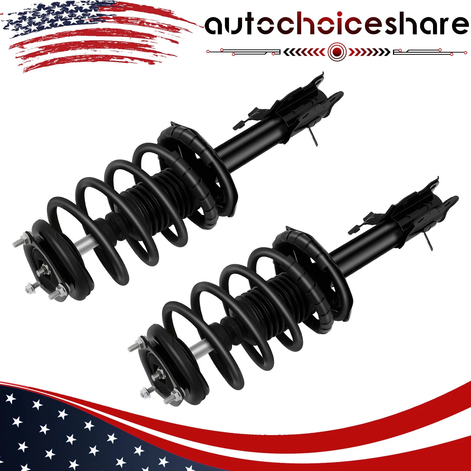 Set of 2 Complete Struts & Coil Springs for Nissan Sentra 1.8L (2002–2006)