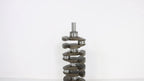 Crankshaft for Chevrolet GMC Buick ECOTEC 2011-2017