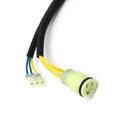 Stator Coil for Honda TRX300 FourTrax 300 (1988–2000)