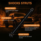 Set of 4 Shock Struts for Jeep Grand Cherokee (1999-2004)