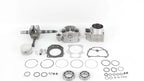 Rebuild Kit for Honda TRX420 (12200-HP7-A01, 13000-HR3-A4)