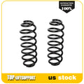 2X Rear Coil Springs for Volkswagen Passat, Tiguan (2006–2019)