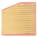 Engine Air Filter for Chrysler Pacifica Voyager (2017-2020)
