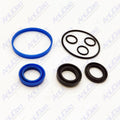 Rebuild Kit for Volvo Penta DPH DPR Trim Cylinders (3888301)