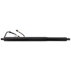 Liftgate Lift Supports for Hyundai Tucson
