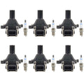 Set of 6 Ignition Coils & 6 Platinum Spark Plugs for BMW 2.8 L6 M52 (1995–2000)