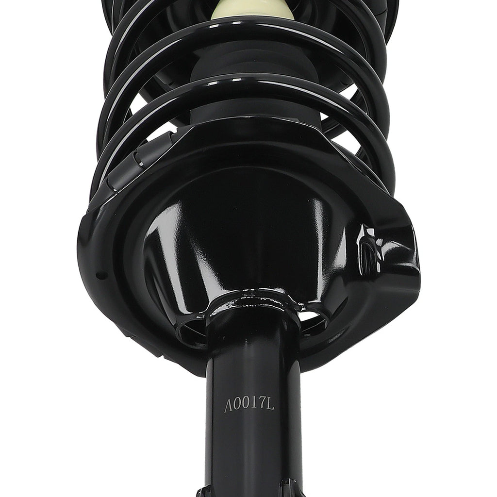 Front Strut Spring Assembly for Infiniti I35 (2002-2004)