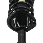 Front Strut Spring Assembly for Infiniti I35 (2002-2004)