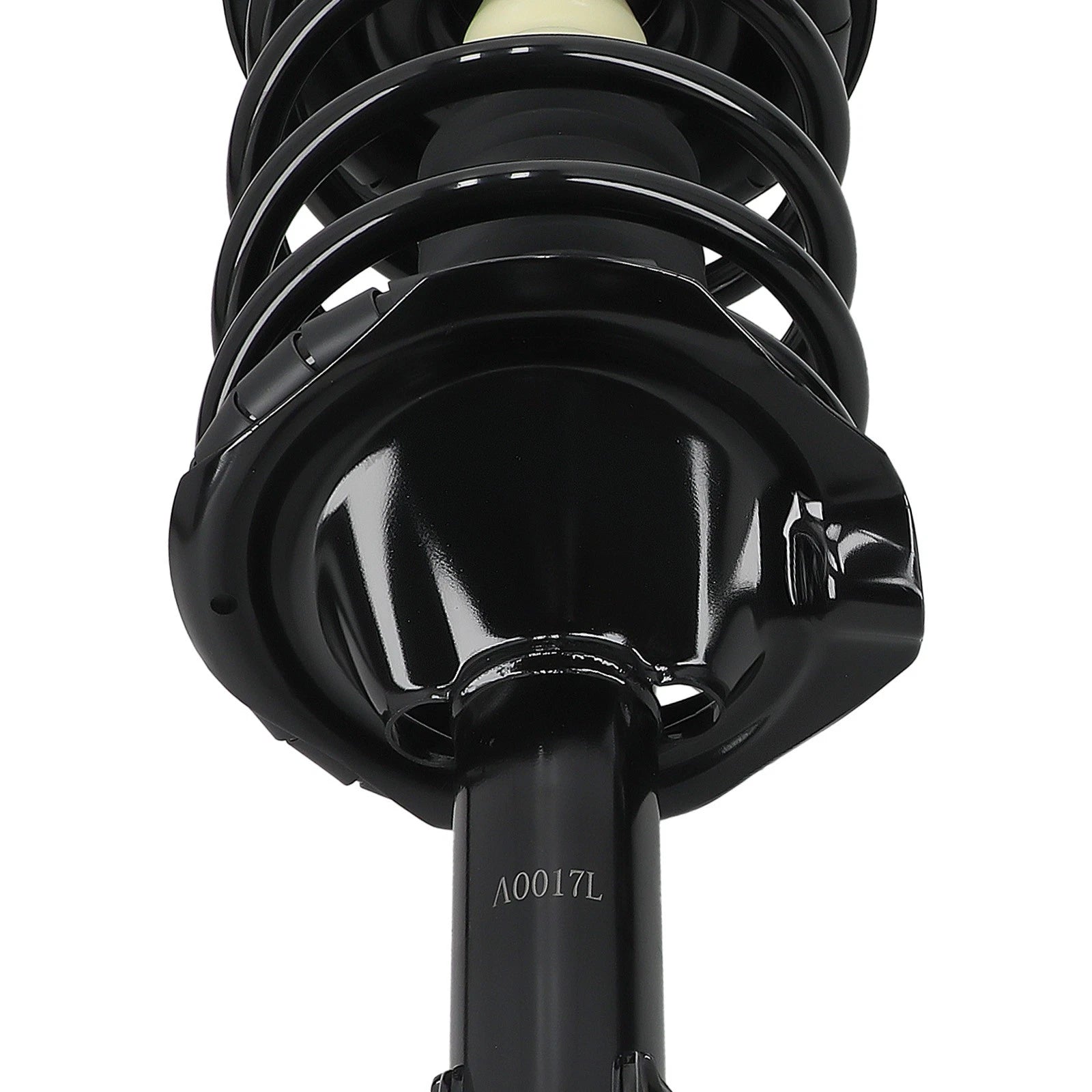 Front Strut Spring Assembly for Infiniti I35 (2002-2004)