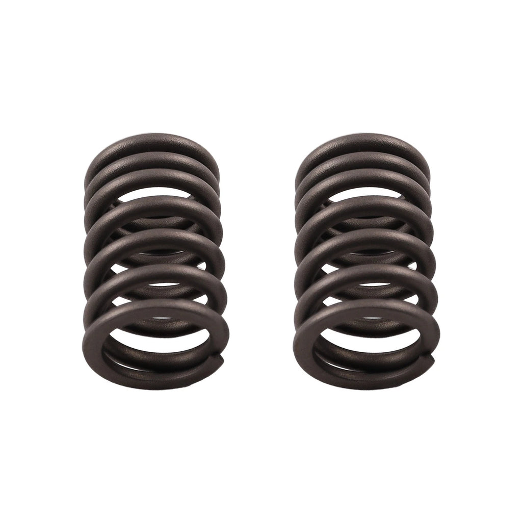 Cylinder Head Gasket, Intake & Exhaust Valve Seals Kit for Honda TRX250TM (2002–2020)