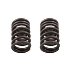 Cylinder Head Gasket, Intake & Exhaust Valve Seals Kit for Honda TRX250TM (2002–2020)