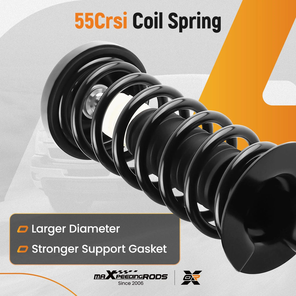 Pair Rear Struts with Coil Spring Assembly for Honda Accord (2013-2017)
