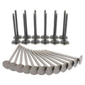Engine Valve Set for Chrysler 300 Dodge Charger Avenger VW Routan (2005–2019)