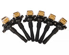 Set of 6 Ignition Coils for BMW 320Ci 320i 523i 528i 530i M3 X5 Z3 (2000-2006)