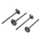 Intake & Exhaust Valves with Seals for Polaris ATV UTV (3085349, 3084905, 3085412)
