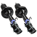2 Front Struts for Holden Commodore VR VS VT VX VU VY (1993–2004)