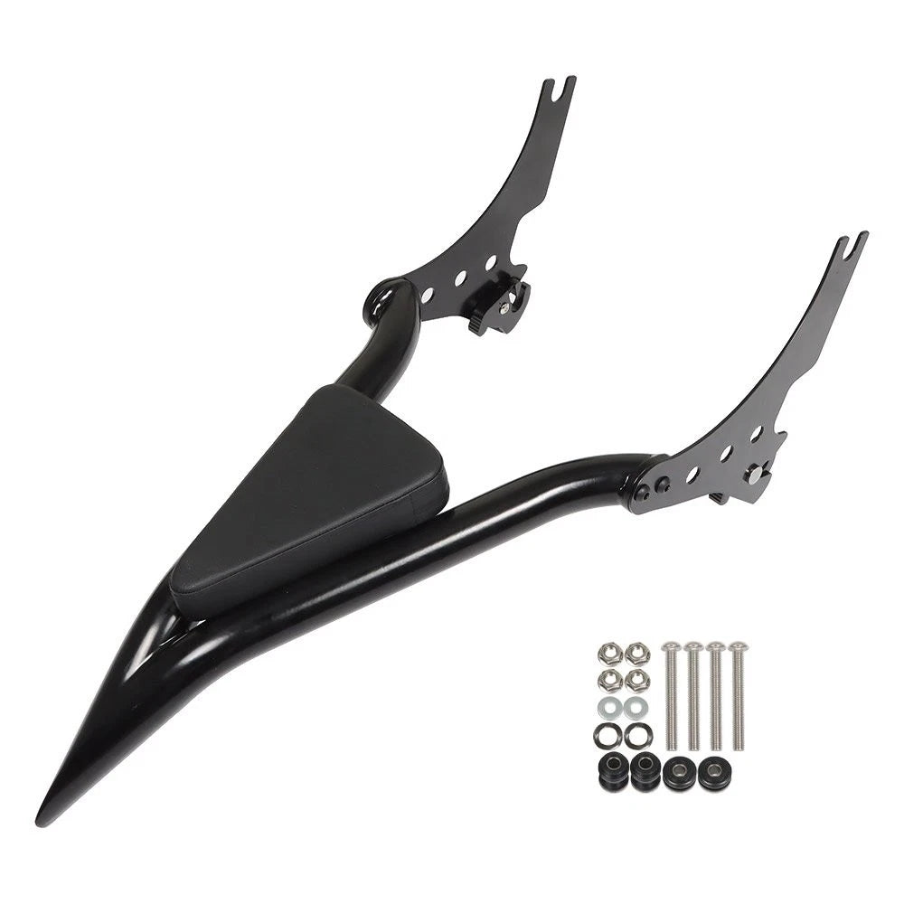 Detachable Rear Passenger Sissy Bar Backrest for Sportster 1200 883 (2004â2023)
