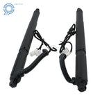 Set of 2 Electric Tailgate Support Rods for BMW X6 (2007-2014)