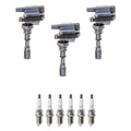 Set of 3 Ignition Coils & 6 NGK Spark Plugs for Sedona XG300 (1999–2006)