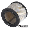 Air Filter for Onan B1SB2792 (#140-0189)