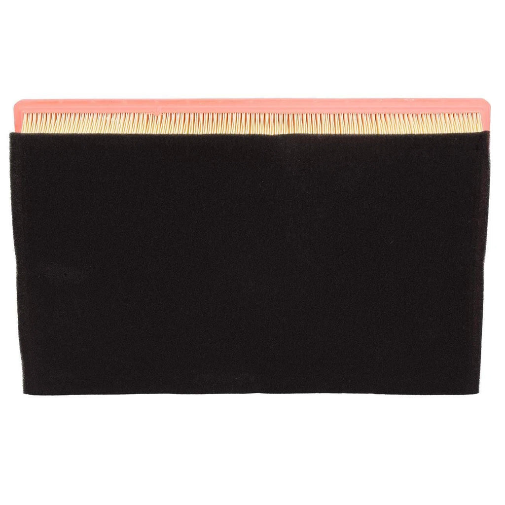 Engine Air Filter for BMW 745i 745Li 750Li 760i 760Li (2002-2008)