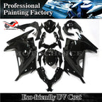 Glossy Black Fairing Kit for Kawasaki Ninja 300 (2013–2017)