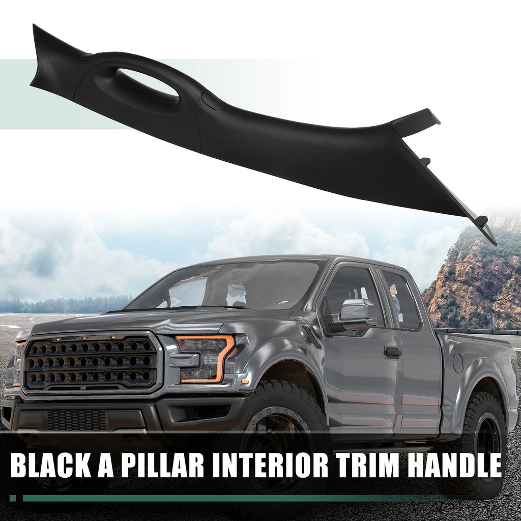 Right Passenger Side A Pillar Interior Trim Handle for Ford F150 (2006–2008)