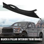 Right Passenger Side A Pillar Interior Trim Handle for Ford F150 (2006–2008)