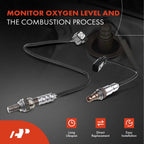 2X O2 Oxygen Sensors for Ford Escape Mercury