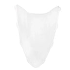 Windshield for Ducati 1299 (2015-2019) - Clear ABS Plastic