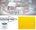 Stainless Radiator Cover Plate Yellow Carbon Fiber Letters for 2015–2017 Mustang GT