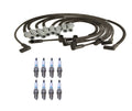 Denso Wire Set & 8 Iridium Spark Plugs Kit for Dodge V8 (0.032)