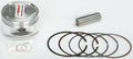 Piston Kit 85.00/Std 10:1 for