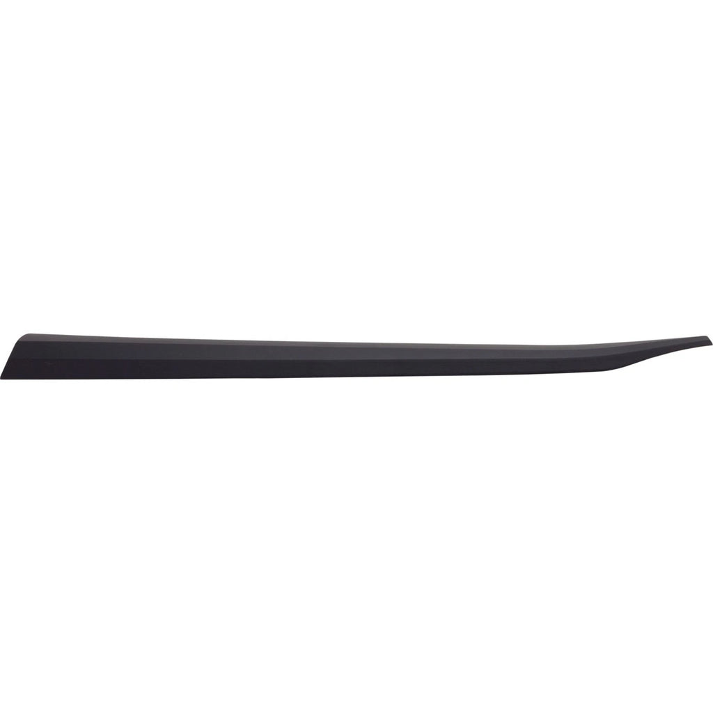 Set of 2 Door Molding and Beltlines for C-HR