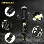 Set of 2 Rear Complete Struts with Spring for Toyota Prius