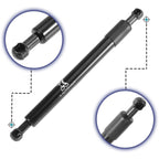 Set of 2 Tailgate Lift Support Gas Springs for Dodge Ram 1500 (2009–2019)