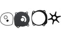 Water Pump Repair Kit for Evinrude Johnson OMC (S18-3211, 395864, 397131, 435821)