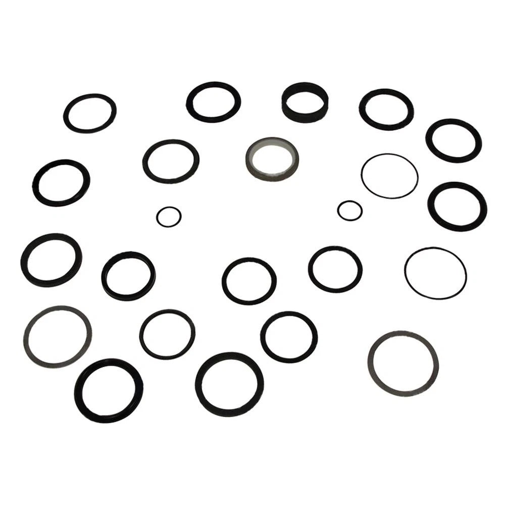 Hydraulic Cylinder Seal Kit for Ford/New Holland (1101-1230)