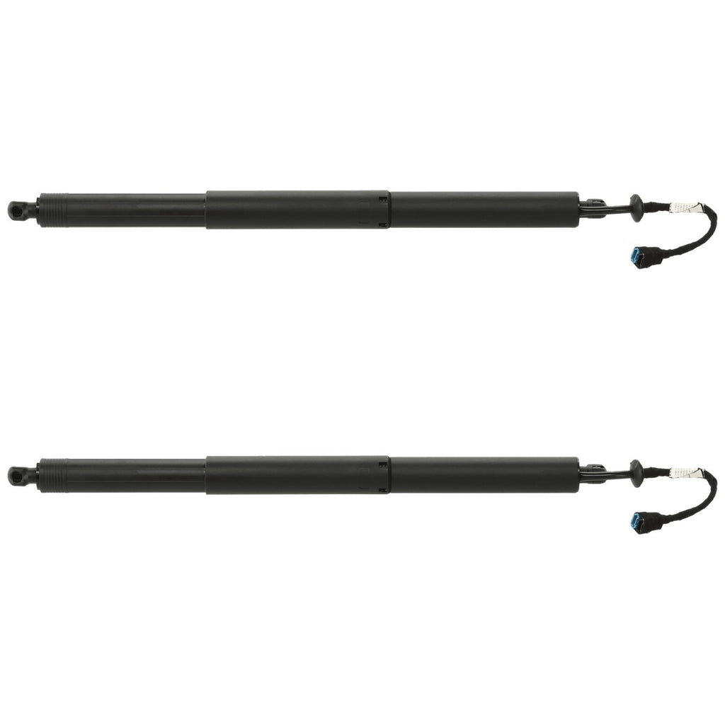Liftgate Lift Supports Set of 2 for X2