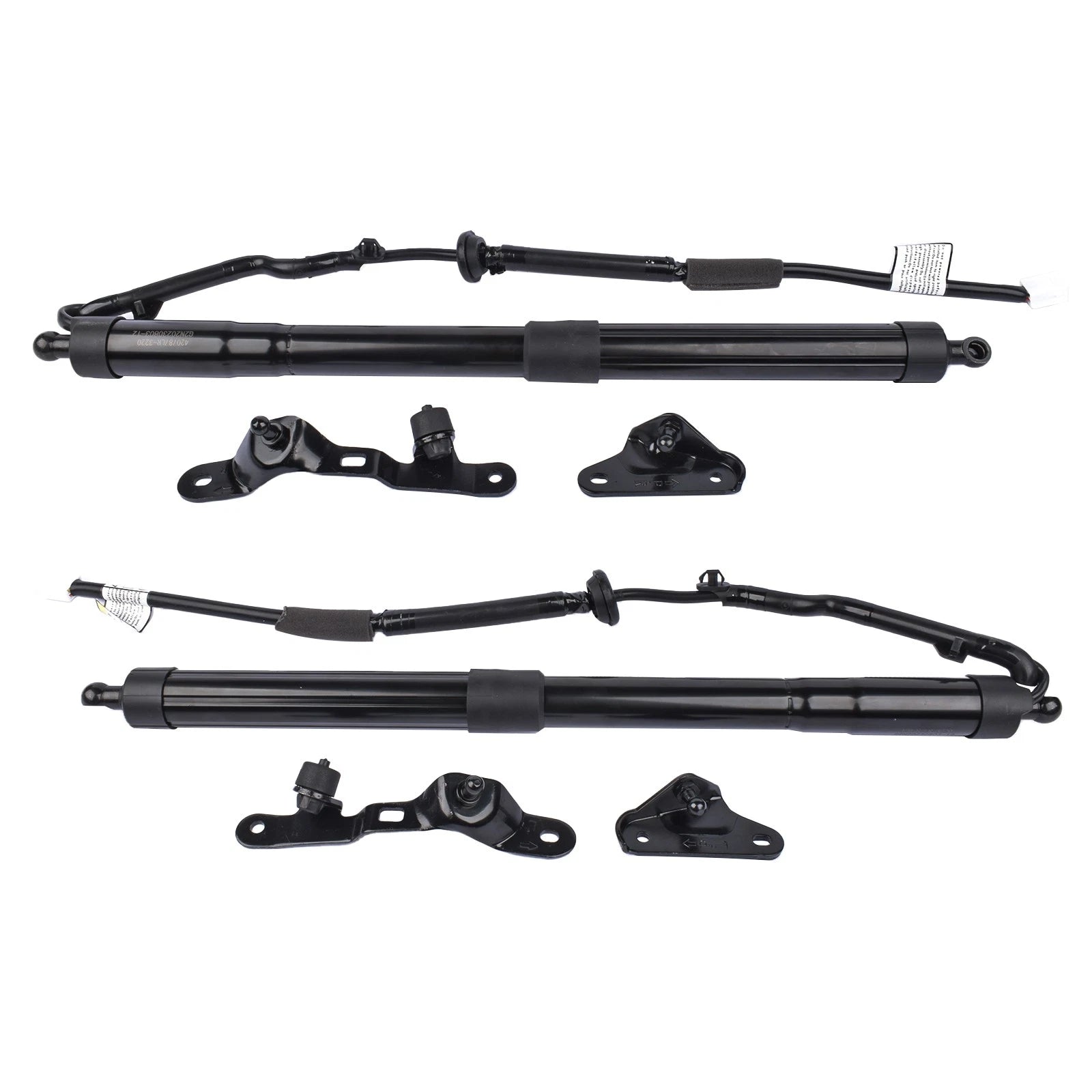 Set of 2 Rear Tailgate Lift Support Struts for Toyota RAV4 (2013–2018)