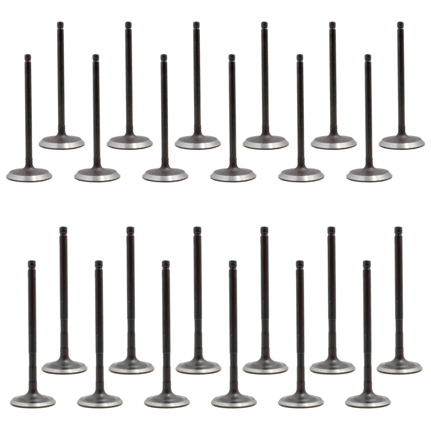 Set of 24 Intake & Exhaust Valves Kit for Explorer F-150 MKS 3.5L Turbo