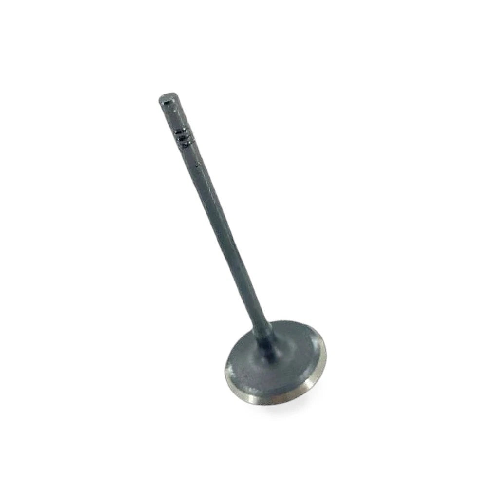 Intake Valve for Ford EcoSport Focus Escort (2019–2023) HN19-6507AA