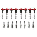 Set of 8 Ignition Coils & NGK Ruthenium HX Spark Plugs for Audi Volkswagen (4.2L)