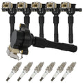 Set of 6 Ignition Coils and Spark Plugs for BMW 325Ci 325i 2.5L L6 (2001–2002)