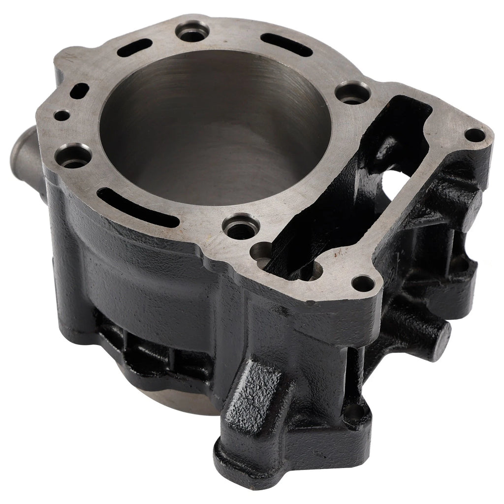 75mm Cylinder Top End Piston Kit for Aprilia Atlantic Sport City SR Max 300 (2010–2015)