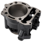 75mm Cylinder Top End Piston Kit for Aprilia Atlantic Sport City SR Max 300 (2010–2015)