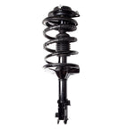 Complete Struts and Sway Bar End Links for Hyundai Elantra (2001–2006)